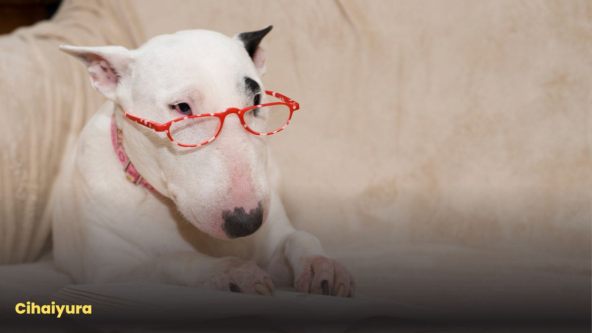 What Should Authors Know Before Paying for Book Promotion?