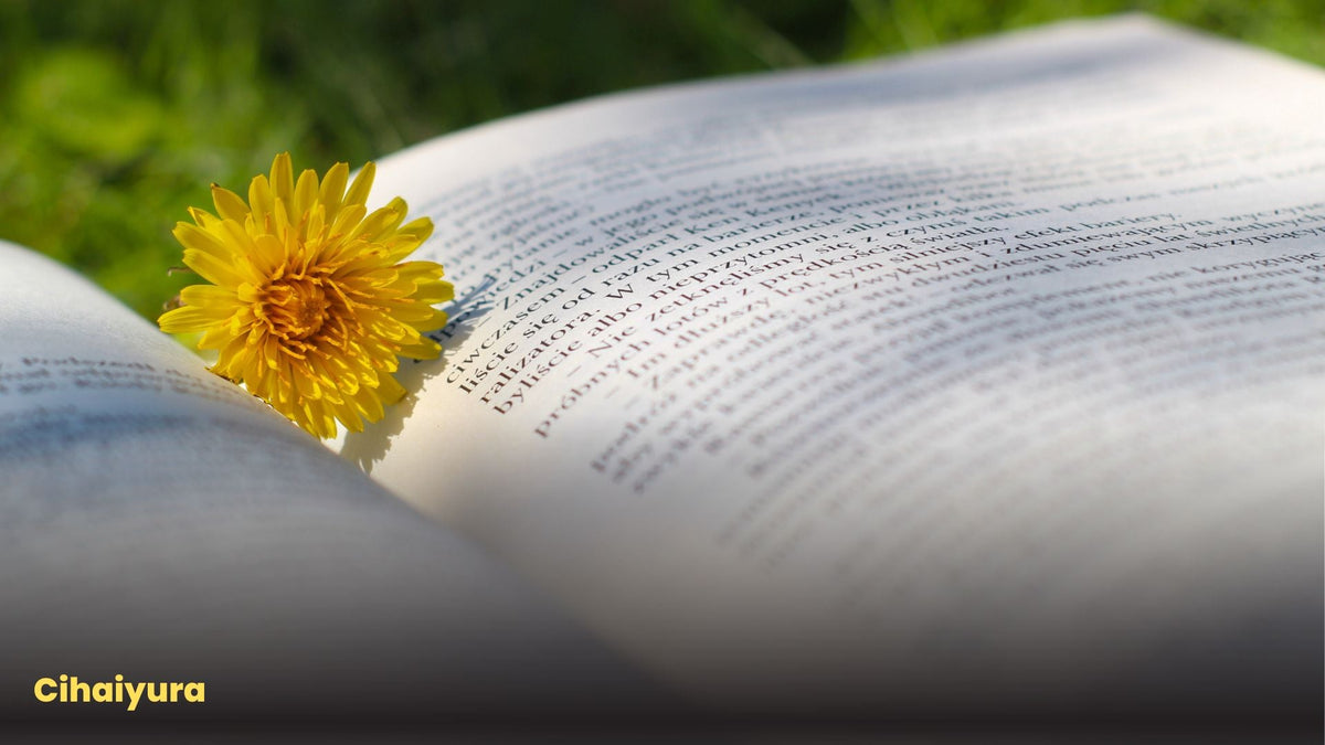 How Does Typography Change the Personality of a Book?